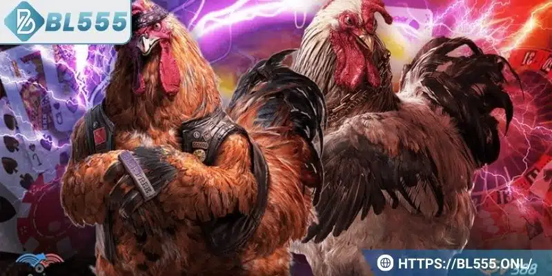 Đá gà cựa sắt - Cách chơi hay và các kỹ thuật hiệu quả 6 Những điều cần lắm để chơi đá gà hiệu quả